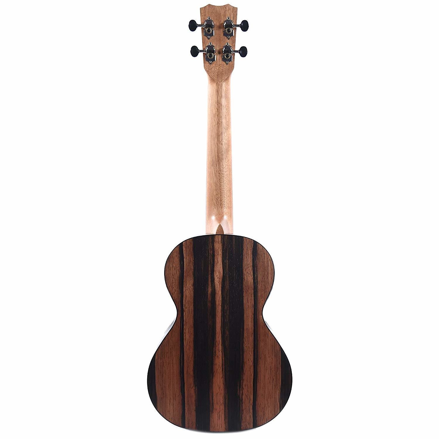 Body Top: Solid Spruce Back and sides: Exotic Striped Ebony Body Size: Teno...