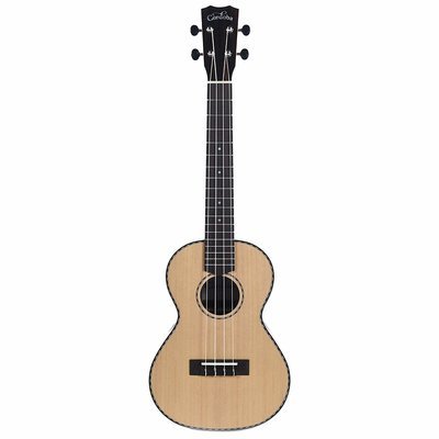 Cordoba 21T Tenor Ukulele - Solid Spruce top, Exotic Striped Ebony back/sides Cordoba 21T Tenor Ukulele - Solid Spruce top, Exotic Striped Ebony back/sides
