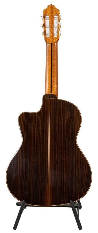 Solid Indian Rosewood Back/Sides