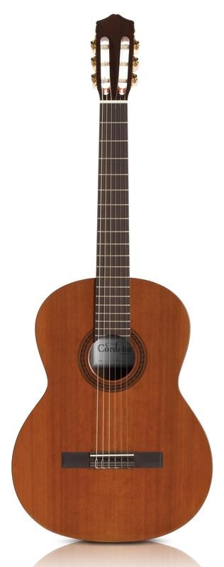 Cordoba C5 Nylon String Acoustic Guitar