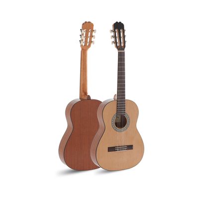 Beginner Guitars and Accessories