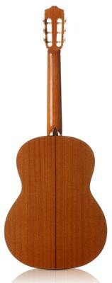 C5 - Mahogany Back/Sides