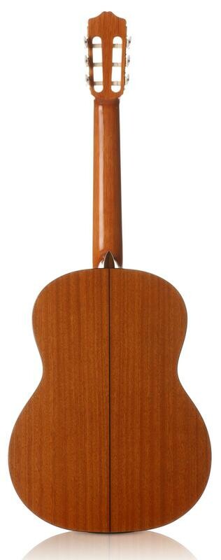 C5 - Mahogany Back/Sides
