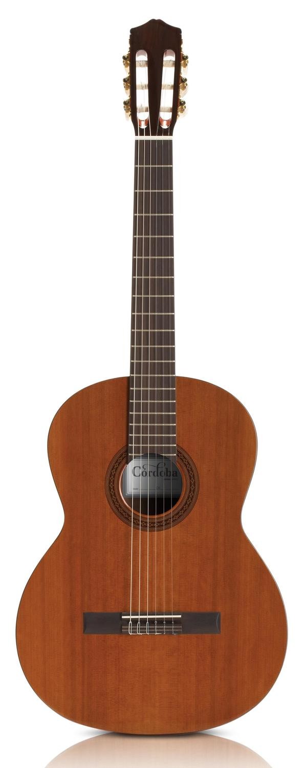 Cordoba C5 Nylon String Acoustic Guitar Cordoba C5 Nylon String Acoustic Guitar