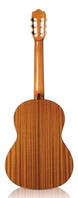 Mahogany Back/Sides