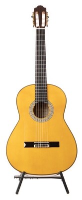 Estevé 9F Blanca - Professional Level Flamenco Guitar - All Solid Woods Estevé 9F Blanca - Professional Level Flamenco Guitar - All Solid Woods