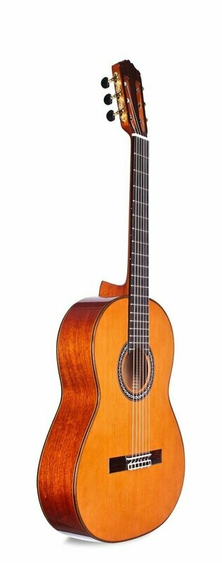 ⅞ Size - 630mm Scale Length