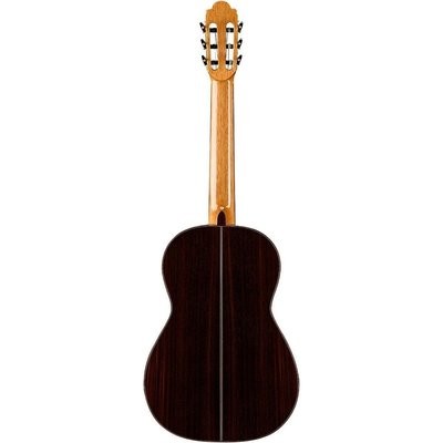 Solid Indian Rosewood Back/Sides - Spanish Cedar Neck