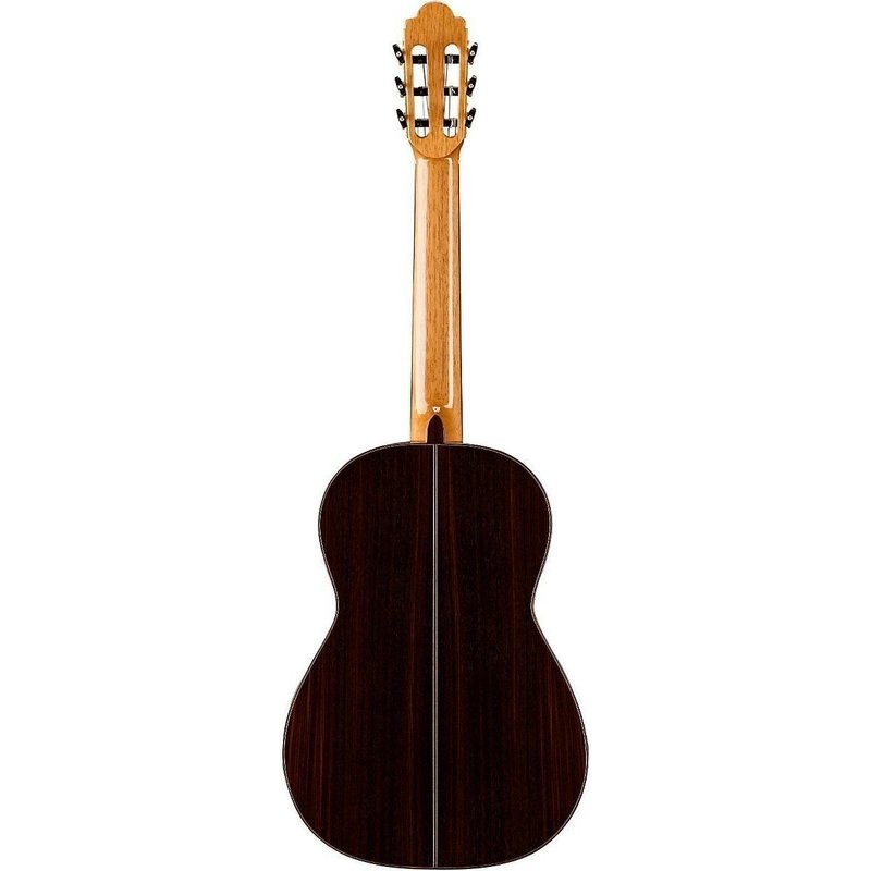 Solid Indian Rosewood Back/Sides - Spanish Cedar Neck