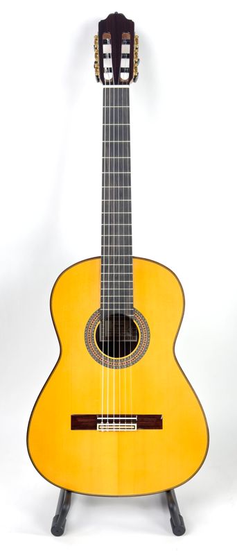 Estevé Alegria Flamenco Negra