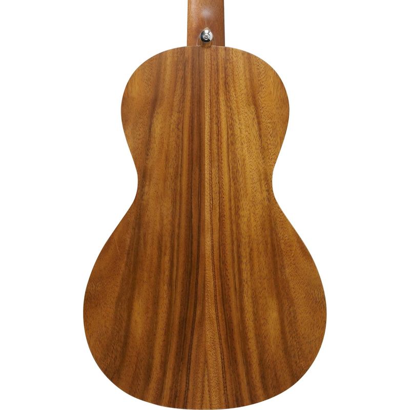 Ibanez PN2 WS Parlor Sized Acoustic Guitar - Open Pore