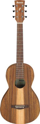 Ibanez PN2 WS Parlor Sized Acoustic Guitar - Open Pore Ibanez PN2 WS Parlor Sized Acoustic Guitar - Open Pore