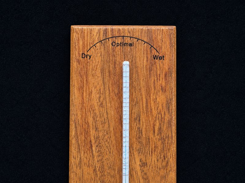 SOTZ Analog Hygrometer for Acoustic & Classical Guitars