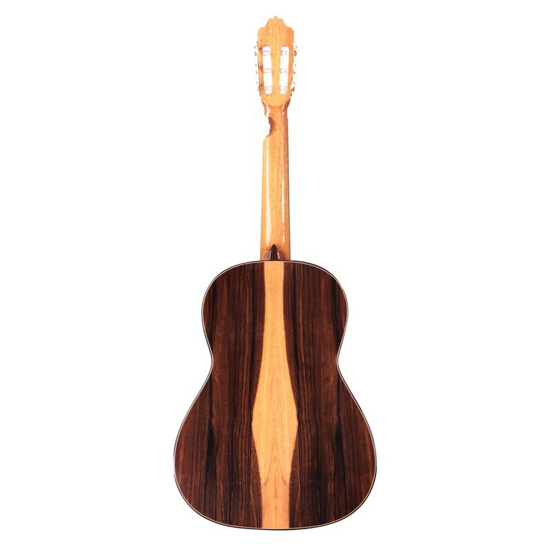 Estevé 10 all solid, Spruce top, Blackwood back/sides
