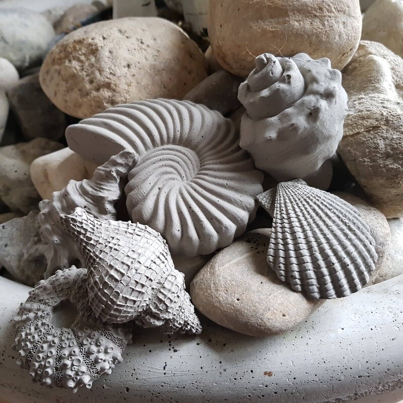 Silikon - Gießform - Muscheln verschiedene Variationen Silikon - Gießform - Muscheln verschiedene Variationen
