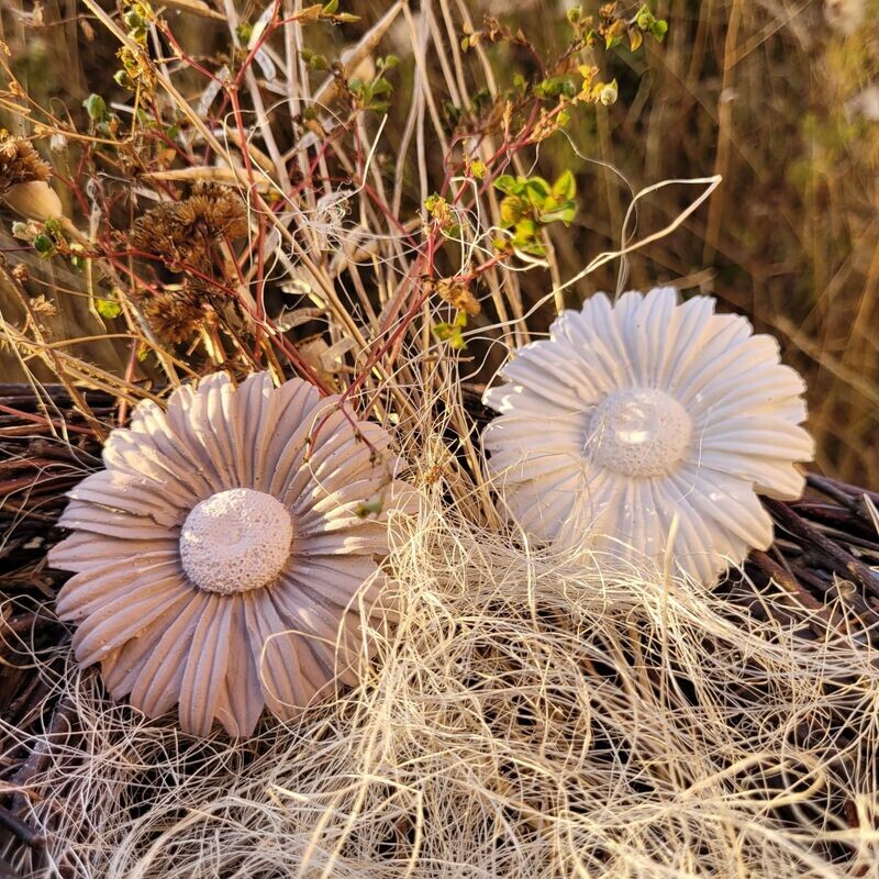 Silikon - Gießform - Margerite Silikon - Gießform - Margerite