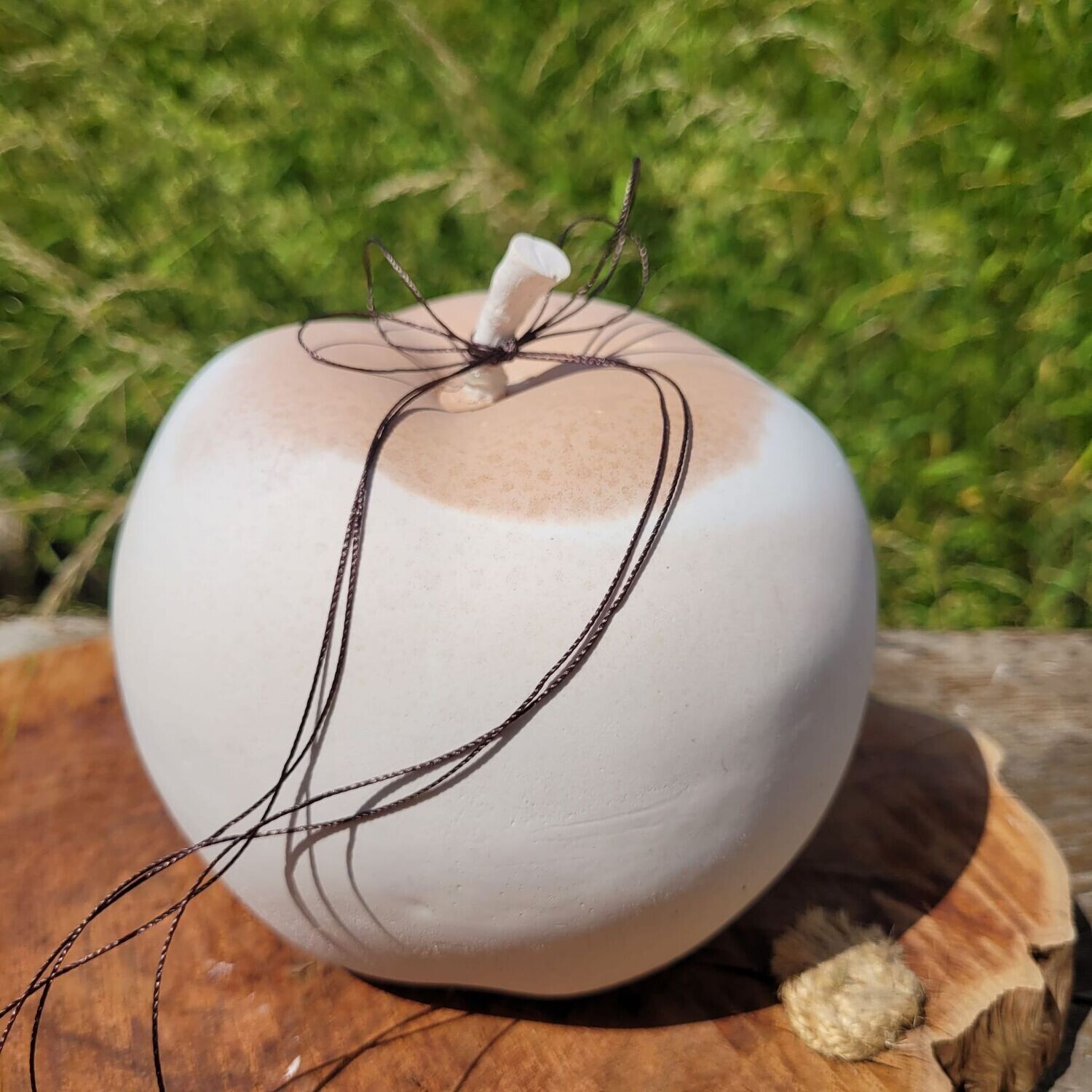 ​Silikonform Apfel groß mit Stiel/Gießform/B-Ware 75% Rabatt