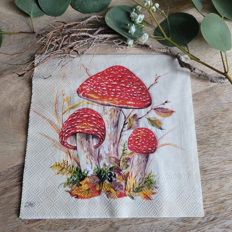 Serviette♥Fliegenpilz Treffen♥