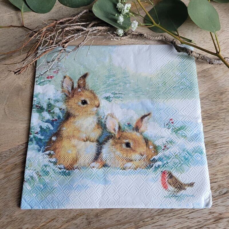 Serviette♥Sagt der Hase zum Vögelchen♥