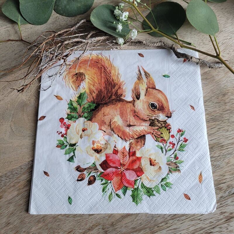 Serviette♥Süsses Eichhörnchen♥