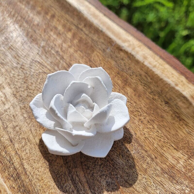 Silikon - Gießform - Sukkulente/Blumen Silikon - Gießform - Sukkulente/Blumen