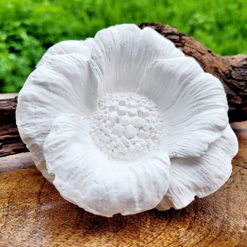 Silikon - Gießform - Mohnblüte Silikon - Gießform - Mohnblüte