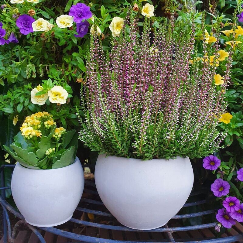 Silikon-Gießform - Blumentopf – Vase – Utensilienbehälter/B-Ware/Sale 30% Rabatt Silikon-Gießform - Blumentopf – Vase – Utensilienbehälter/B-Ware/Sale 30% Rabatt
