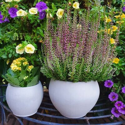 Silikon-Gießform - Blumentopf – Vase – Utensilienbehälter/B-Ware/Sale 30% Rabatt
