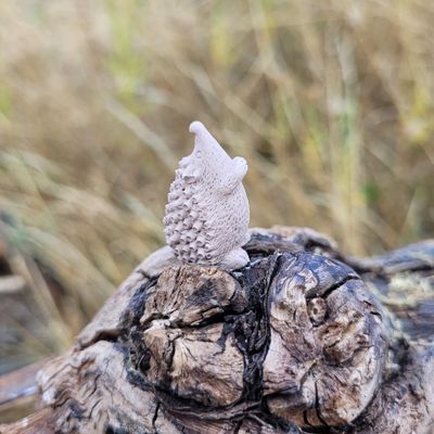 Silikon - Gießform -Süßer Mini Igel - 2 Varianten Silikon - Gießform -Süßer Mini Igel - 2 Varianten
