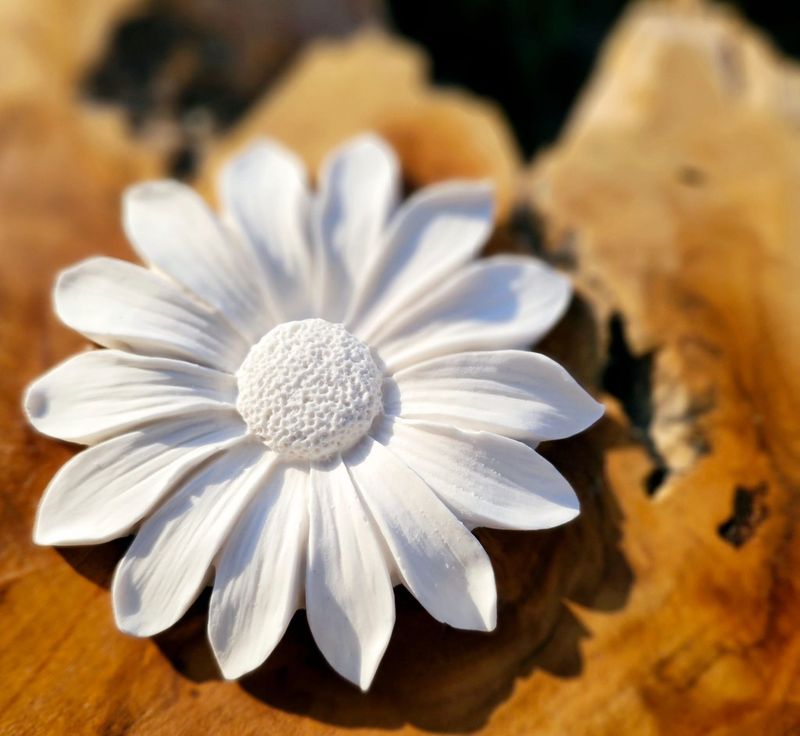 Silikonform Margerite/Blumen/Blüte/Floristik/Gießform Silikonform Margerite/Blumen/Blüte/Floristik/Gießform