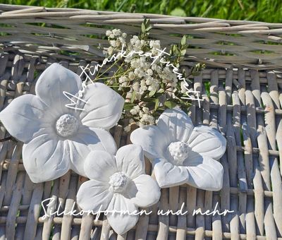 Silikon - Gießform - Dekoblüte – Frühlingsstern – 3 Größen