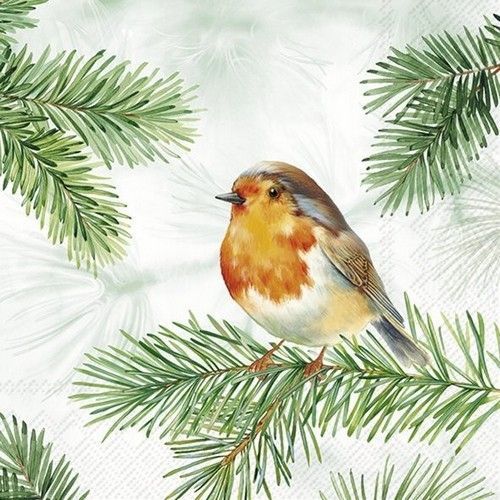 Serviette♥Wintergeflüster Vögelchen♥