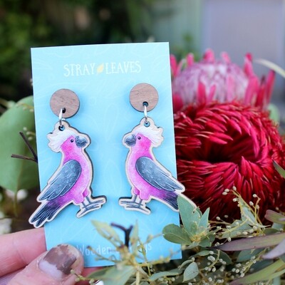 Galah Australian Bird wooden earrings