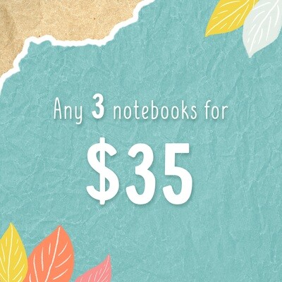 Notebook deal! Any 3 notebooks for $35