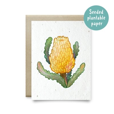 Plantable yellow banksia recycled card