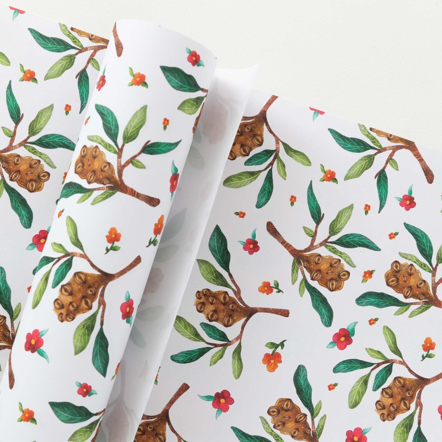 Australian banksia A2 recycled wrapping paper