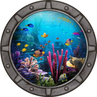 Underwater Graphic - Ocean Window (Coral, 1m²)