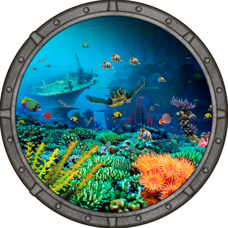 Underwater Graphic - Ocean Window (Wreck, 1m²)