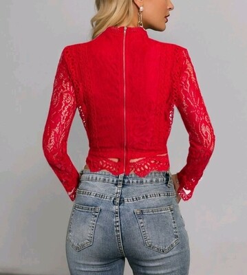Long Sleeve Lace Zippered back Top