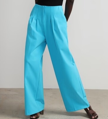 Tall Pleated Wide Leg Pant