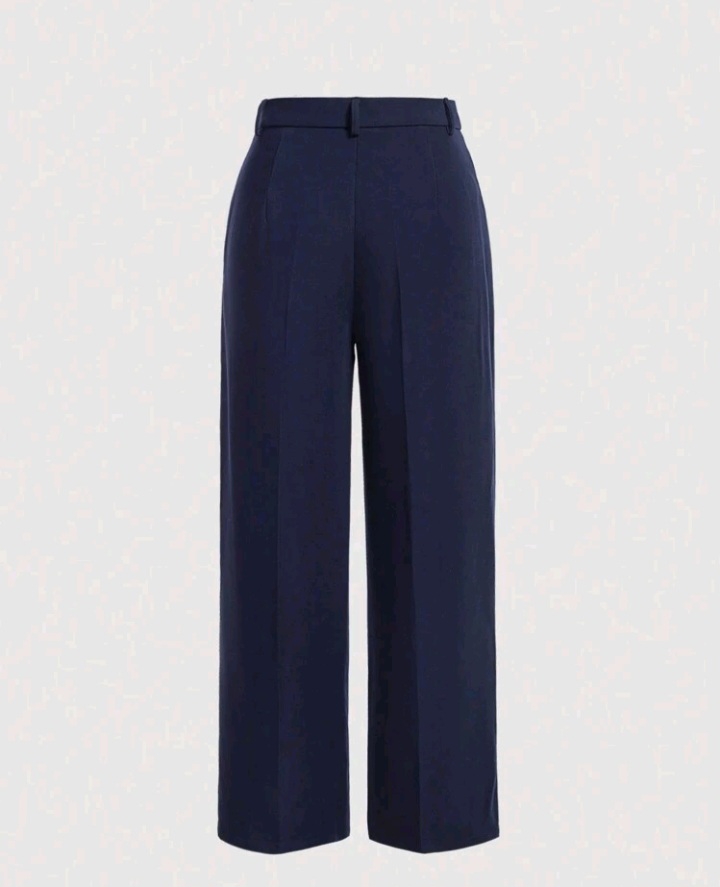 Pleated wide-Leg Pants