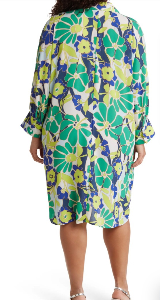 Long Sleeve Button Front Shirtdress
