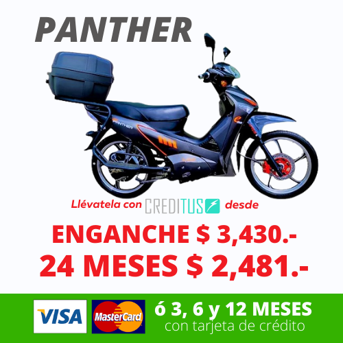 PANTHER