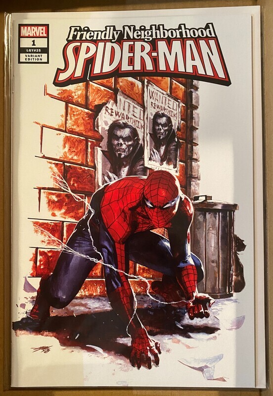 Friendly Neighborhood SpiderMan 1