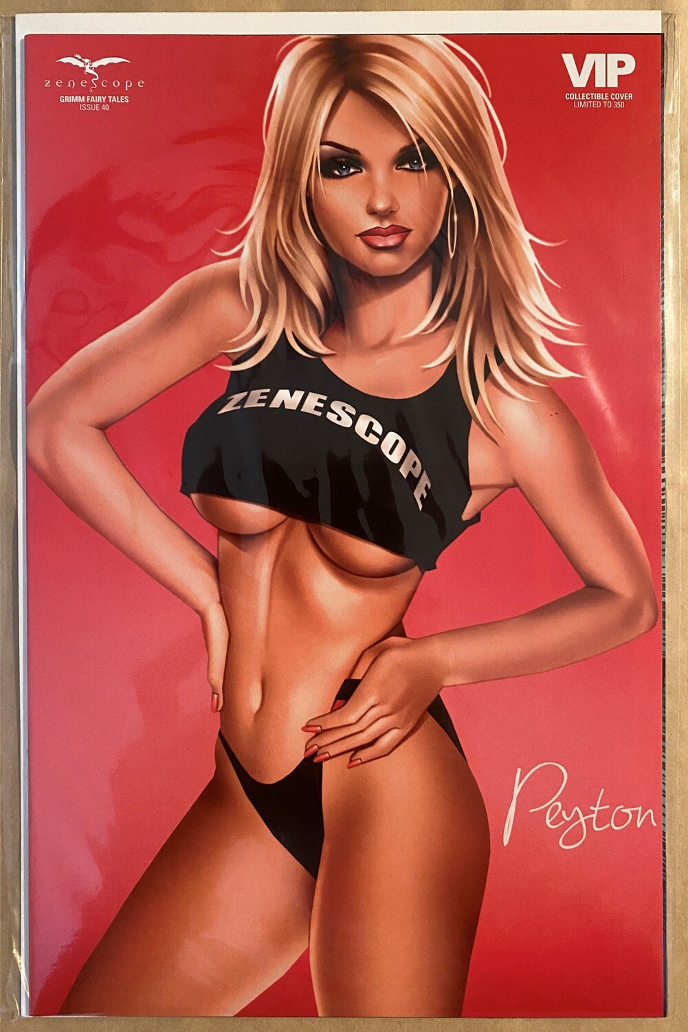 Grimm Fairy Tales #40 - Vintage Poster Exclusive