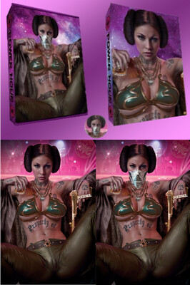 Power Hour #2 - Shikarii - Star Wars Gangster Princess Leia Cosplay Collectors Box Set