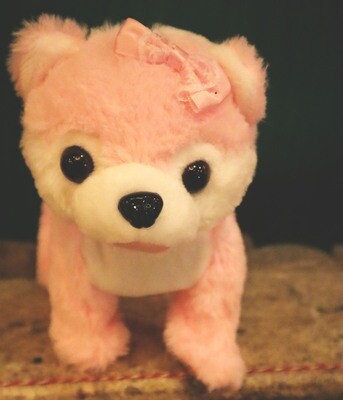 Walking Dog on Leash