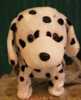 Walking Dog on Leash-Dalmatian