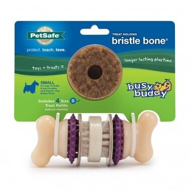 PetSafe® Busy Buddy® Bristle Bone® Dog Toy Small