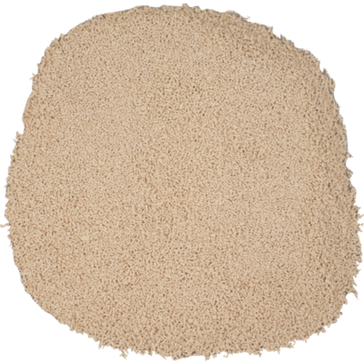 Yeasts